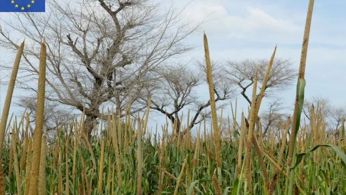 Quantifier l’impact des politiques publiques en faveur de l’agroécologie sur les inégalités de revenus - Visuel - 