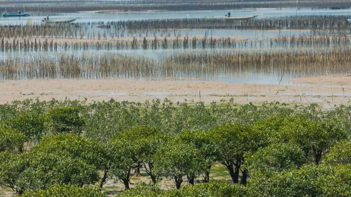 Le projet vise à soutenir la  mise en place d’une gestion intégrée de la zone côtière de Fuding en Chine, conforme aux meilleures pratiques internationales, des hauts bassins versant aux écosystèmes côtiers de mangroves et jusqu’à la mer.