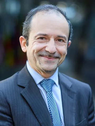 Jean-Pierre Marcelli, AFD